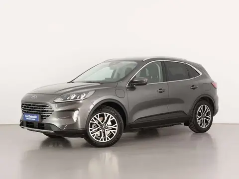 Annonce FORD KUGA Électrique 2020 d'occasion 