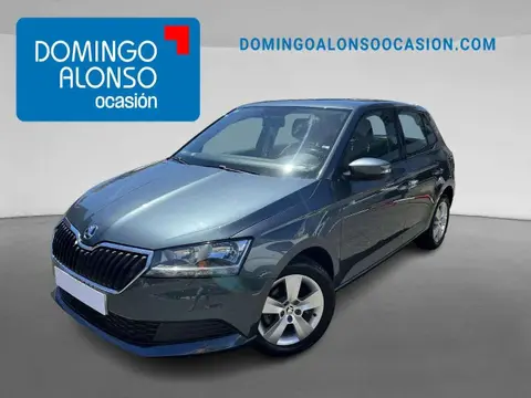 Used SKODA FABIA Petrol 2019 Ad 