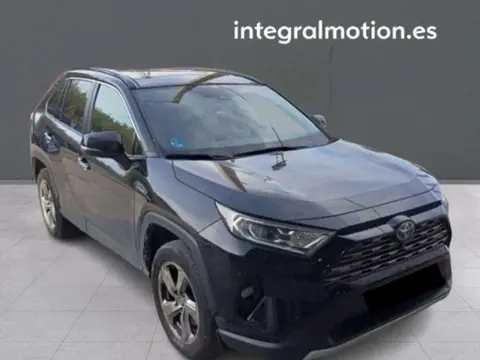 Used TOYOTA RAV4 Hybrid 2019 Ad 