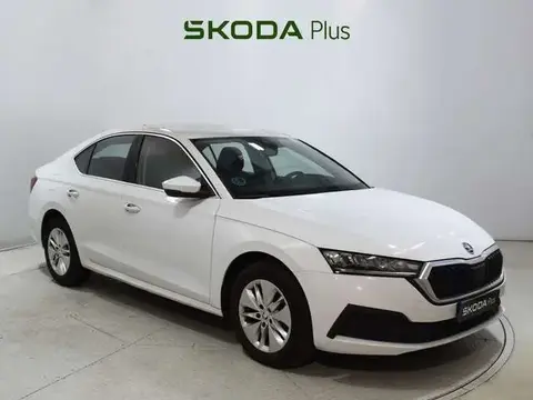 Used SKODA OCTAVIA Diesel 2023 Ad 