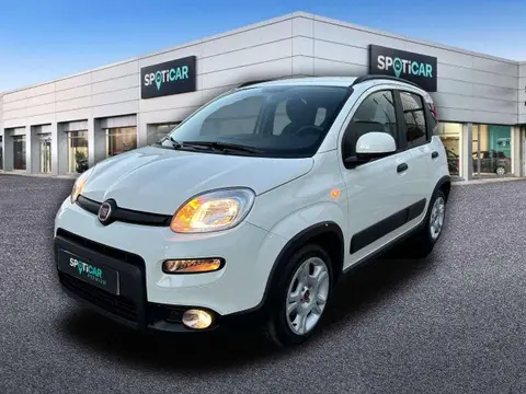 Used FIAT PANDA Petrol 2023 Ad 