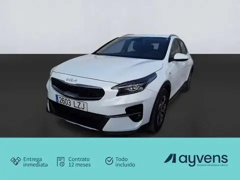 Annonce KIA XCEED Essence 2022 d'occasion 