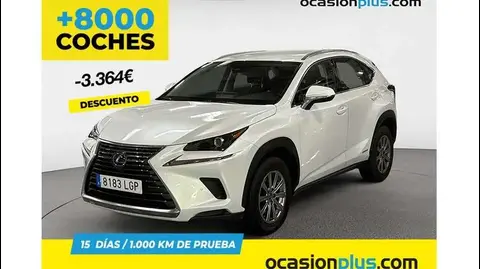 Used LEXUS NX Hybrid 2020 Ad 