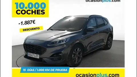 Used FORD KUGA Petrol 2022 Ad 