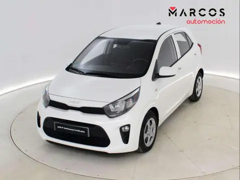 Used KIA PICANTO Petrol 2023 Ad 