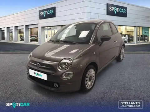 Used FIAT 500 Petrol 2024 Ad 