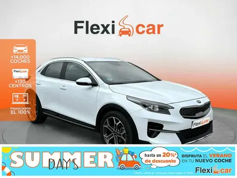 Used KIA XCEED Diesel 2019 Ad 