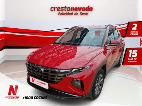 Annonce HYUNDAI TUCSON Essence 2021 d'occasion 