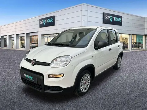 Annonce FIAT PANDA Essence 2023 d'occasion 