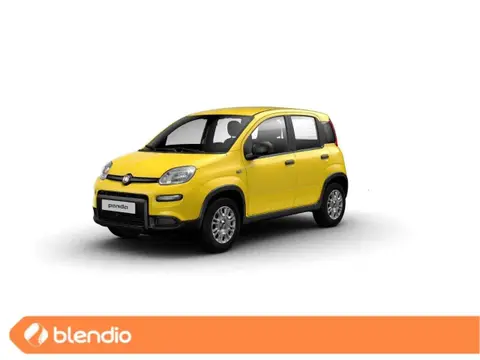 Used FIAT PANDA Hybrid 2024 Ad 