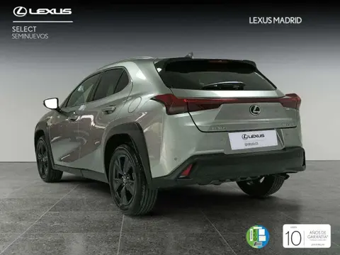 Used LEXUS UX Hybrid 2024 Ad 