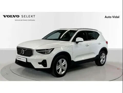 Used VOLVO XC40 Electric 2023 Ad 