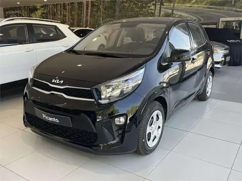 Annonce KIA PICANTO Essence 2024 d'occasion 