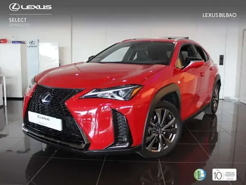 Used LEXUS UX Hybrid 2020 Ad 