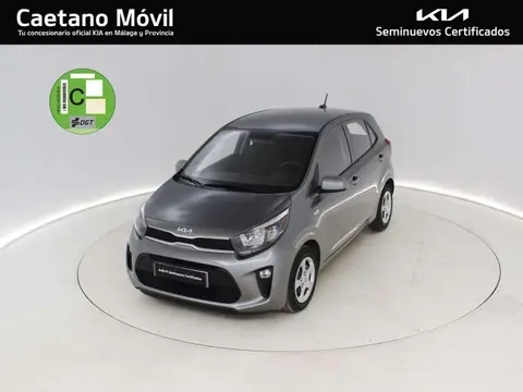 Used KIA PICANTO Petrol 2023 Ad 