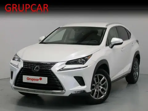 Used LEXUS NX Hybrid 2020 Ad 