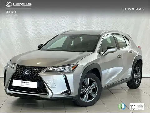 Annonce LEXUS UX Hybride 2020 d'occasion 