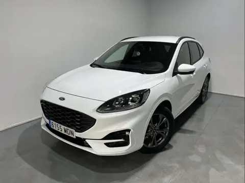 Used FORD KUGA Petrol 2023 Ad 