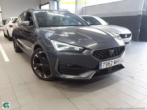 Used CUPRA LEON Petrol 2023 Ad 