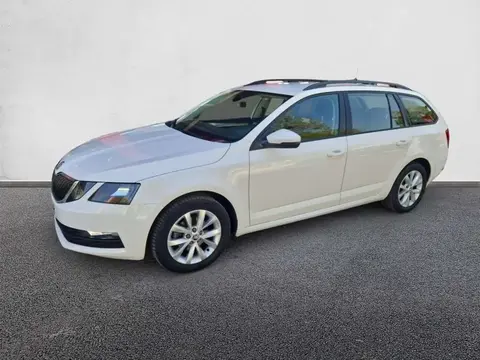 Used SKODA OCTAVIA Diesel 2020 Ad 