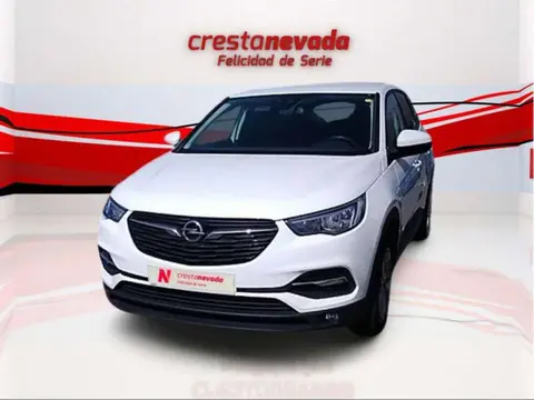 Annonce OPEL GRANDLAND Diesel 2019 d'occasion 