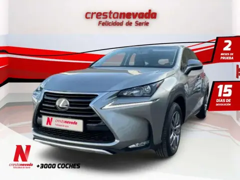 Annonce LEXUS NX Hybride 2016 d'occasion 