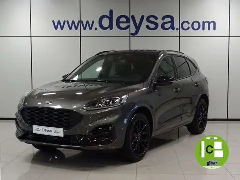 Annonce FORD KUGA Essence 2023 d'occasion 