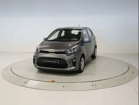 Annonce KIA PICANTO Essence 2023 d'occasion 