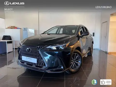 Annonce LEXUS NX Hybride 2024 d'occasion 