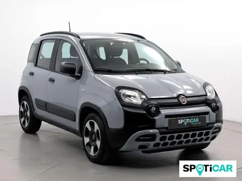 Used FIAT PANDA Hybrid 2021 Ad 