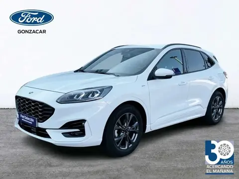 Annonce FORD KUGA Diesel 2022 d'occasion 