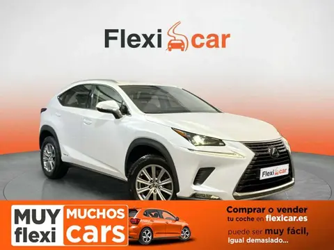 Annonce LEXUS NX Hybride 2019 d'occasion 