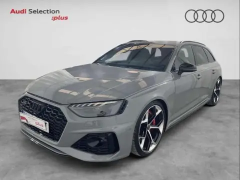 Used AUDI RS4 Petrol 2023 Ad 