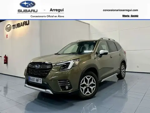 Used SUBARU FORESTER Hybrid 2023 Ad 