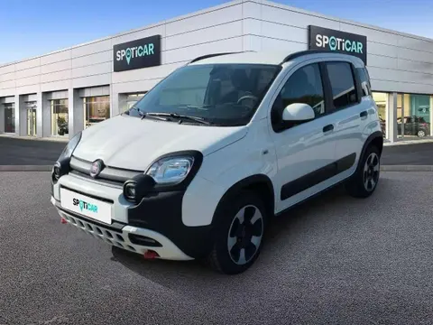 Annonce FIAT PANDA Essence 2024 d'occasion 