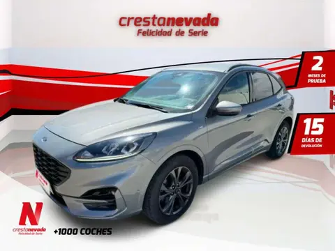 Annonce FORD KUGA Diesel 2022 d'occasion 