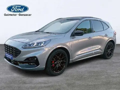 Annonce FORD KUGA Essence 2023 d'occasion 