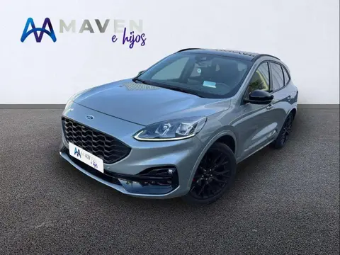 Annonce FORD KUGA Essence 2022 d'occasion 