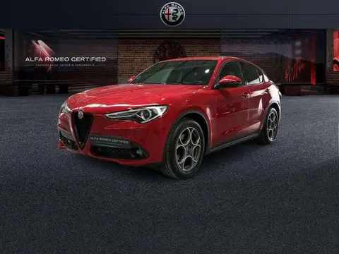 Used ALFA ROMEO STELVIO Diesel 2022 Ad 