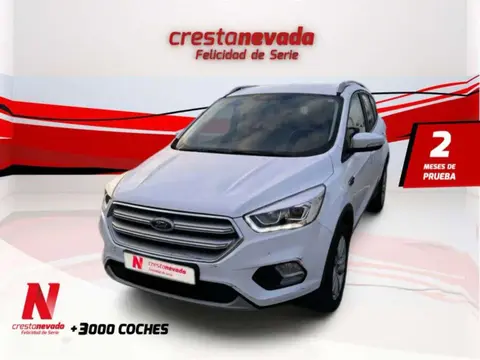 Used FORD KUGA Petrol 2019 Ad 