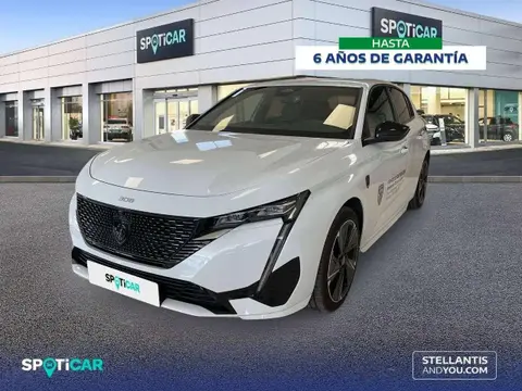 Annonce PEUGEOT 308 Électrique 2023 d'occasion 