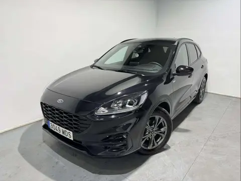 Used FORD KUGA Petrol 2023 Ad 