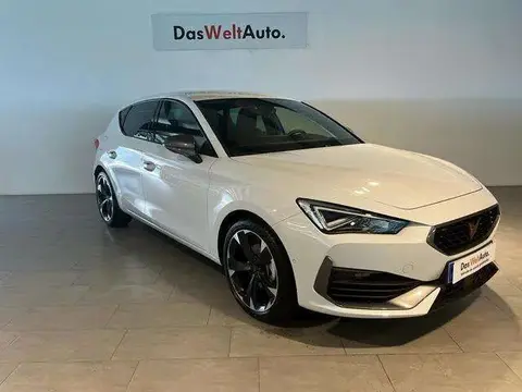 Used CUPRA LEON Petrol 2023 Ad 