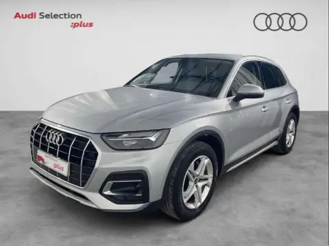 Used AUDI Q5 Diesel 2023 Ad 