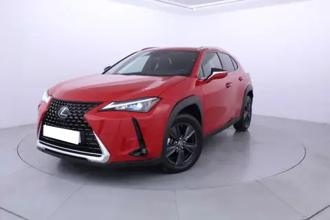 Used LEXUS UX  2023 Ad 