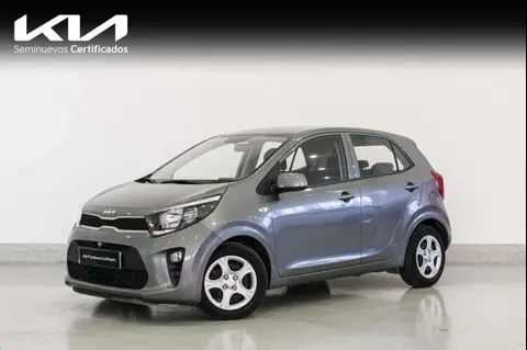 Annonce KIA PICANTO Essence 2023 d'occasion 