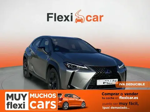 Used LEXUS UX Hybrid 2020 Ad 