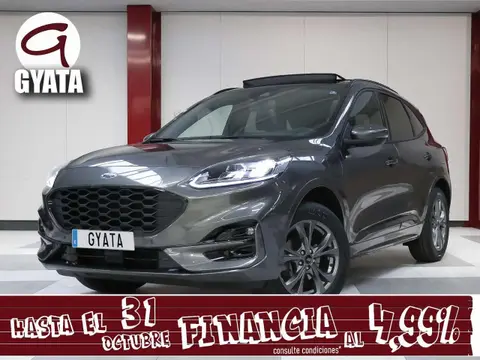 Annonce FORD KUGA Hybride 2024 d'occasion 