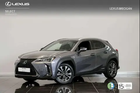 Used LEXUS UX Hybrid 2019 Ad 