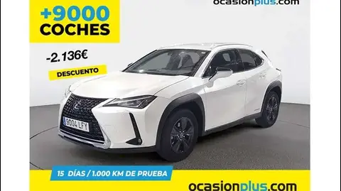 Used LEXUS UX Electric 2020 Ad 